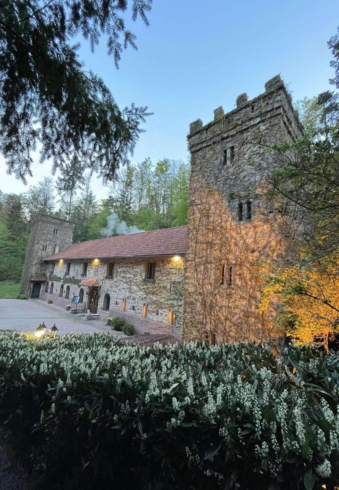 Le Chateau Du Landsberg Barr Zewnętrze zdjęcie
