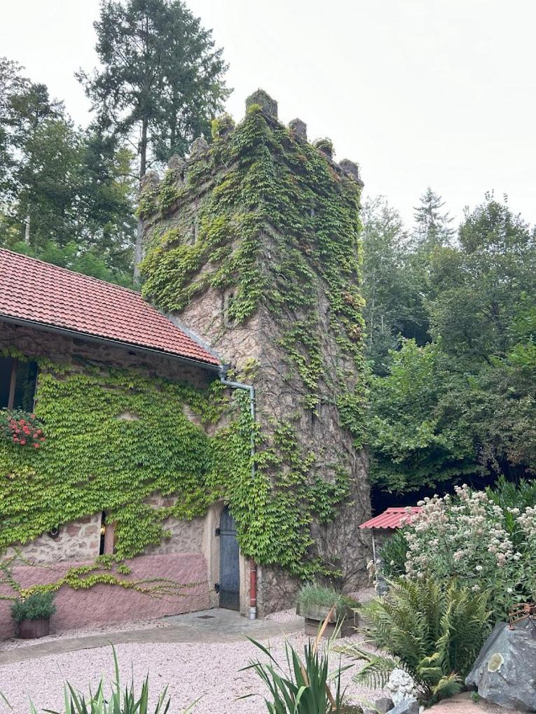 Le Chateau Du Landsberg Barr Zewnętrze zdjęcie
