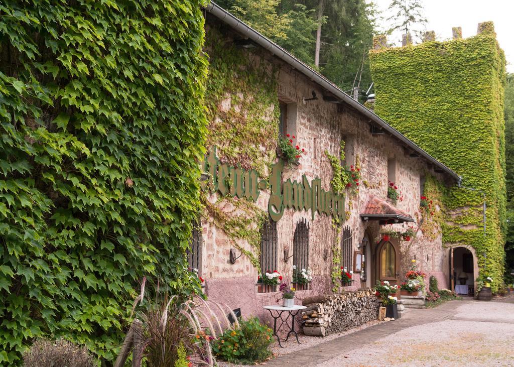 Le Chateau Du Landsberg Barr Zewnętrze zdjęcie